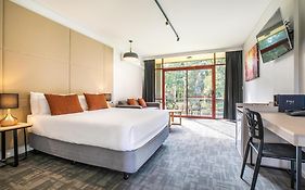 Nightcap At York On Lilydale